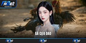 Gà Cựa Dao FABET – Sân Chơi Đá Gà Trực Tuyến Đỉnh Cao