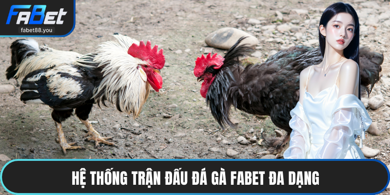 Hệ thống trận đấu đá gà FABET đa dạng